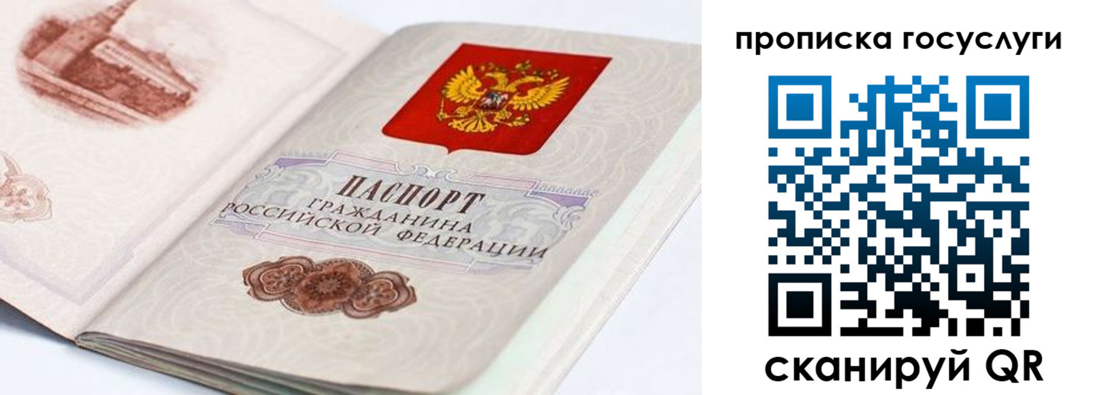 прописка гарантия в Сосенском